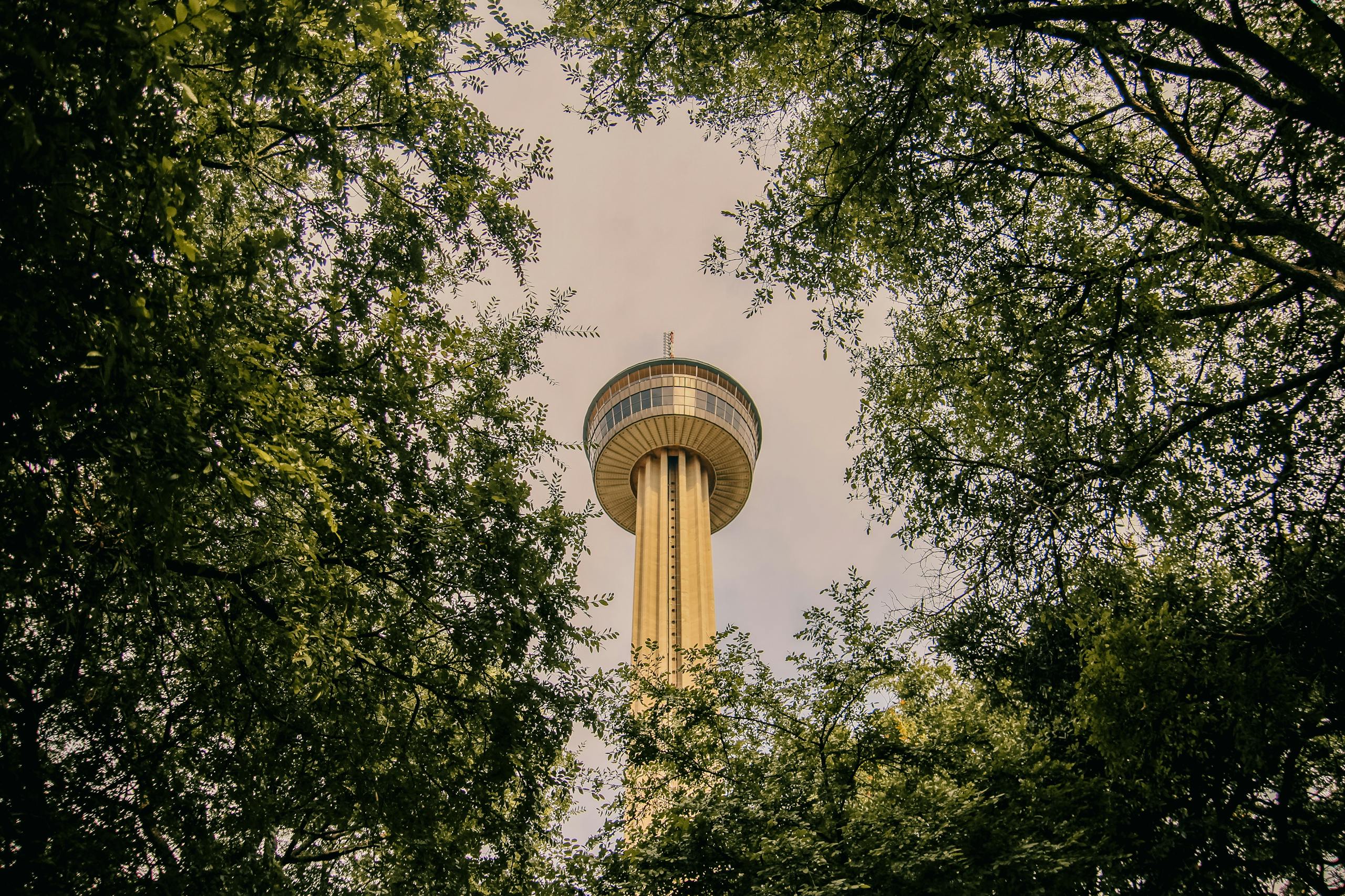 A tall observation tower amidst lush trees under a clear sky.